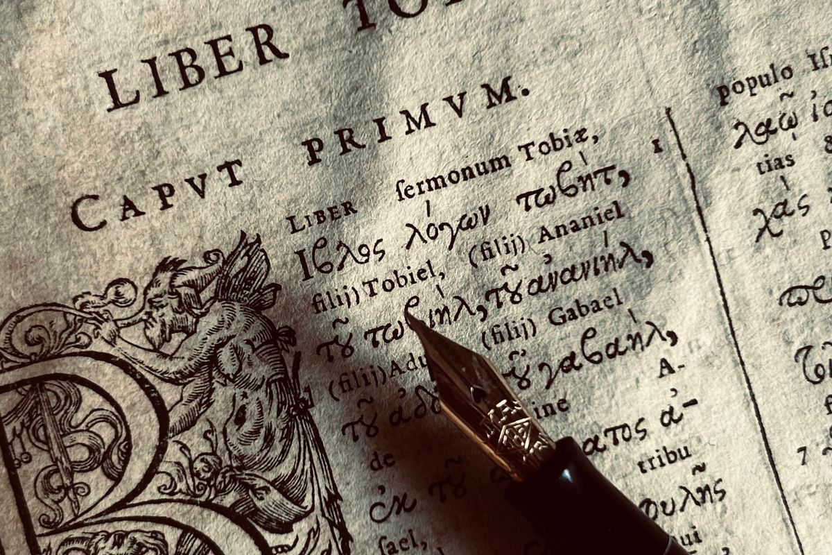 Verschil atheneum en gymnasium: wat past bij jouw kind?